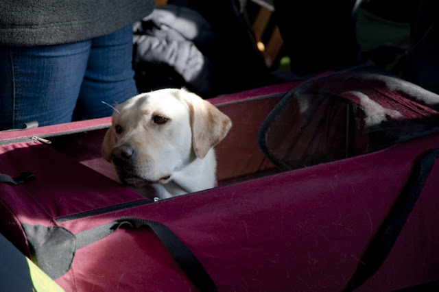 DSC_6277.jpg