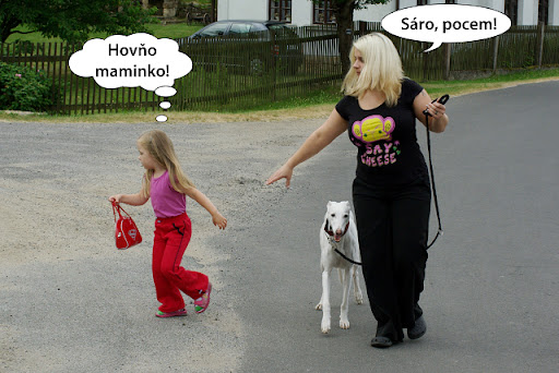 Obrázek