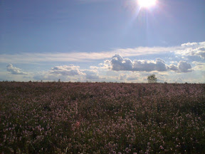 04092010471.jpg