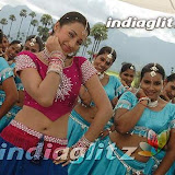 aaru061205_24.jpg