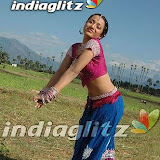 aaru061205_16.jpg