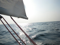 IMGP0680.JPG Photo