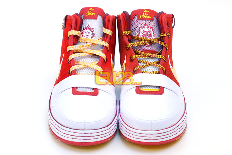 Nike Zoom LeBron VI HWC PE vs GR 2009 03_37608