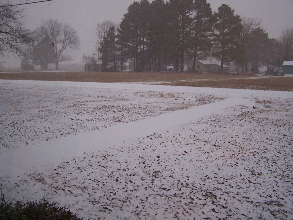 [Snow scenes 5[6].jpg]