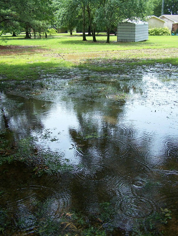 [Water 1[3].jpg]