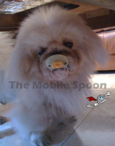 [Dog-MobileSpoon[3].png]