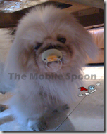 Dog-MobileSpoon
