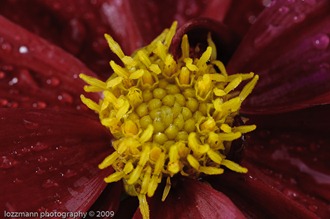 LT3_07407 LT3_07407