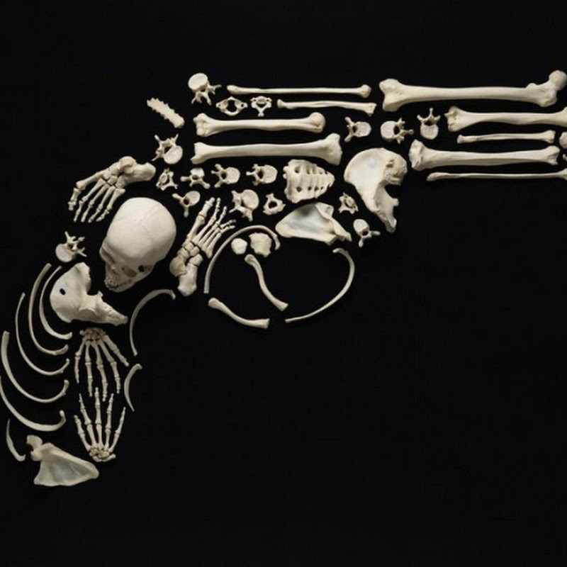 Art Made From Human Bones