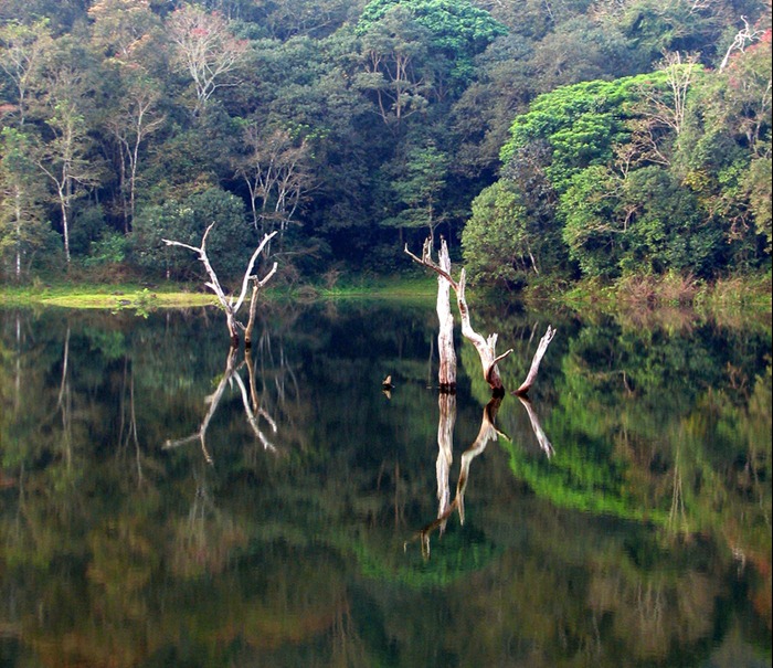 periyar (2) periyar (2)