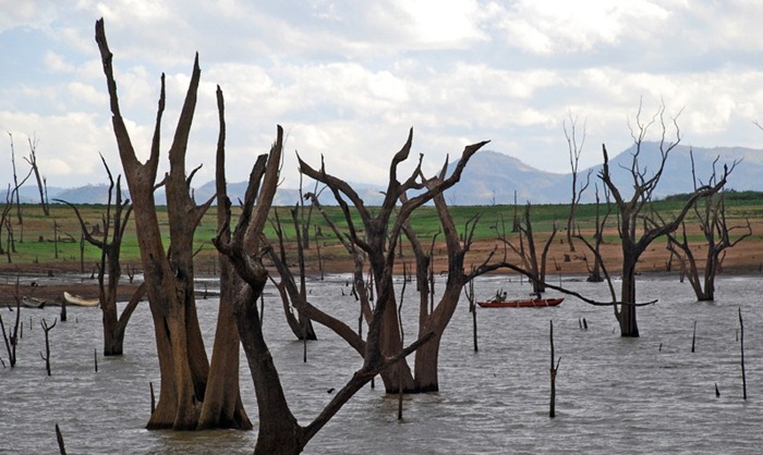 udawalwe (2) udawalwe (2)