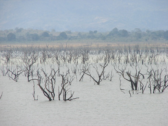 udawalwe (1) udawalwe (1)