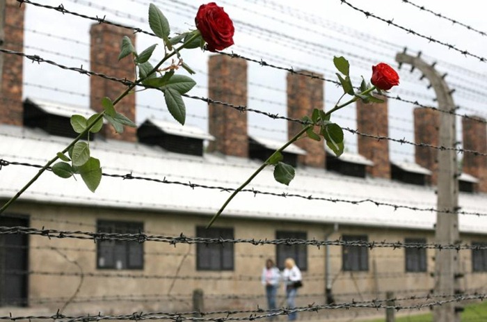 Auschwitz (10)