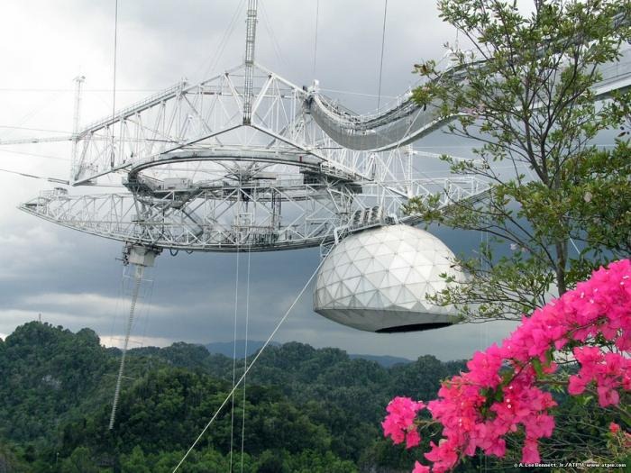 arecibo (8) arecibo (8)