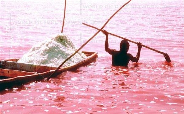 pink-lake-retba (2) pink-lake-retba (2)