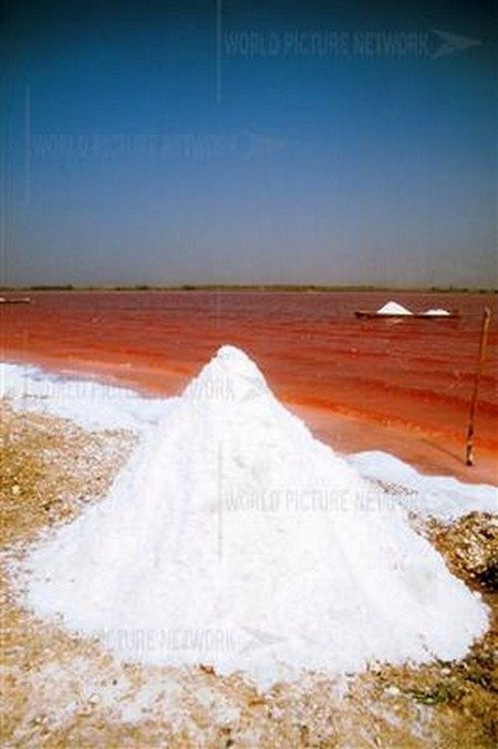 pink-lake-retba (4) pink-lake-retba (4)