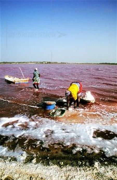 pink-lake-retba (6) pink-lake-retba (6)