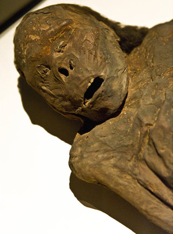 mummies (5)