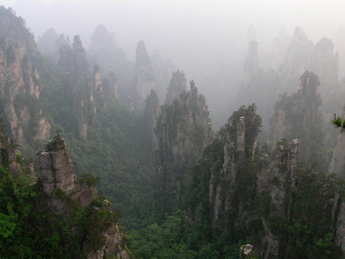 zhangjiajie (16) zhangjiajie (16)