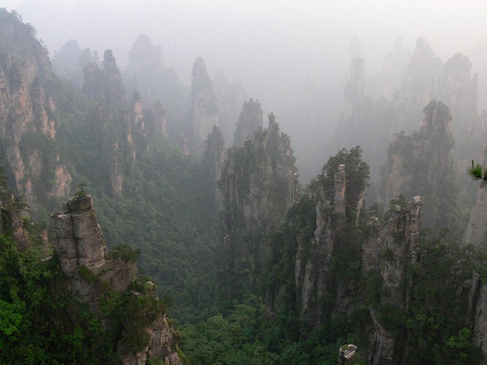 zhangjiajie (16)