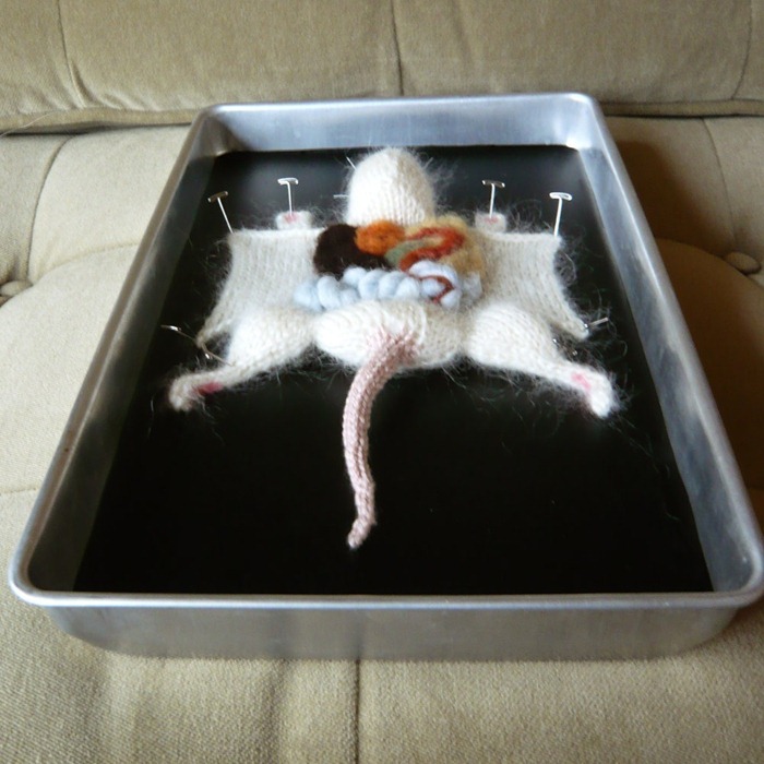 knitted-dissection (8) knitted-dissection (8)