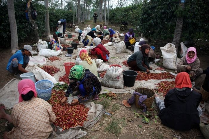 worlds_most_expensive_coffee_03 worlds_most_expensive_coffee_03
