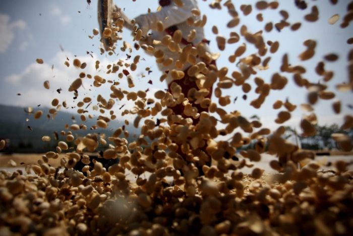 worlds_most_expensive_coffee_09 worlds_most_expensive_coffee_09