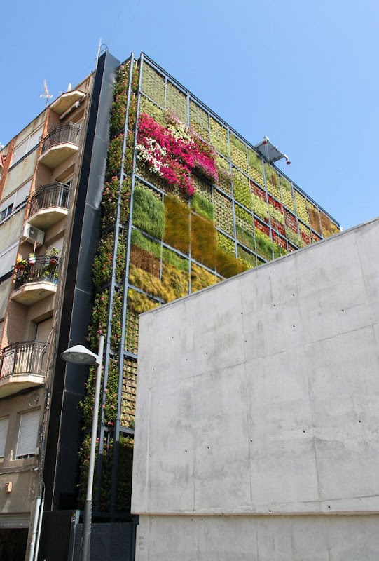 vertical-garden (1) vertical-garden (1)