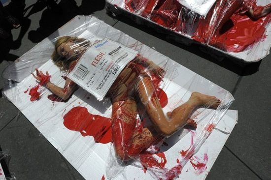 peta-protest (5) peta-protest (5)