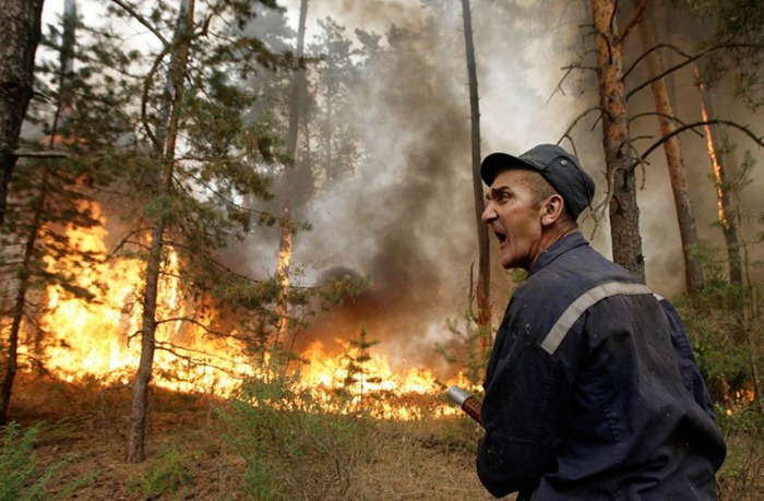 russia-forest-fire (21)