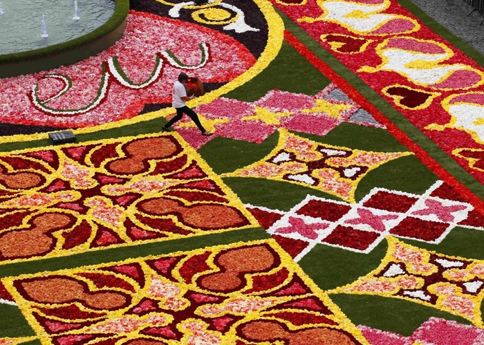 brussels-flower-carpet (3) brussels-flower-carpet (3)