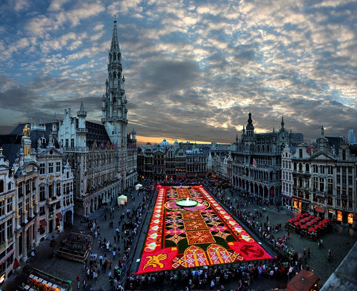 brussels-flower-carpet (1)