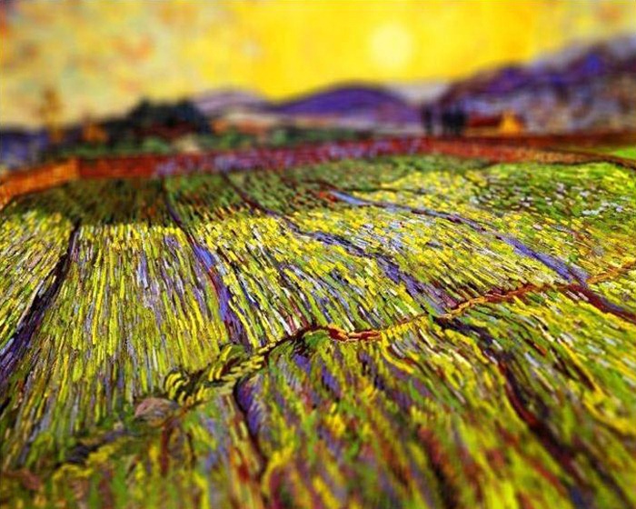 tilt-shift-vangogh (9) tilt-shift-vangogh (9)