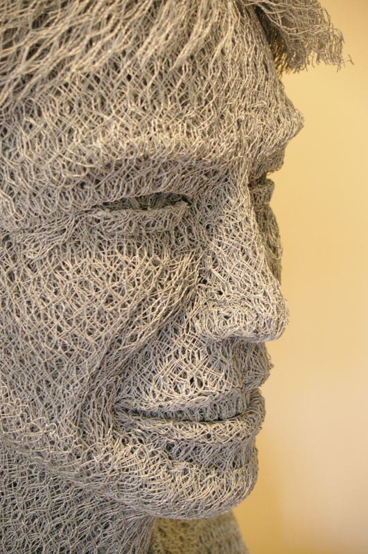 chicken-wire-portrait (15)