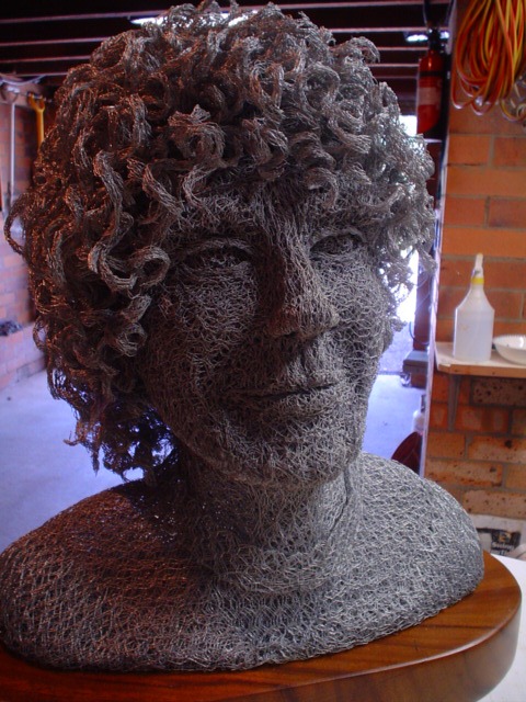 chicken-wire-portrait (10) chicken-wire-portrait (10)