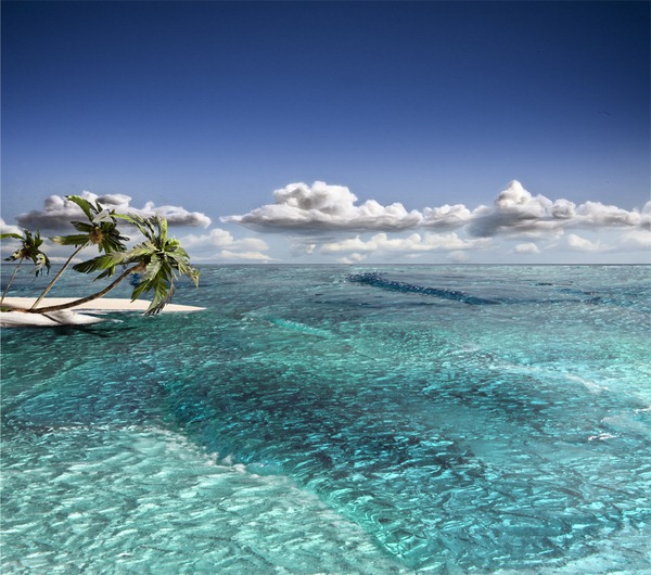 paradise paradise