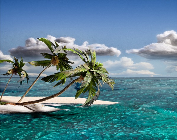 paradise2 paradise2