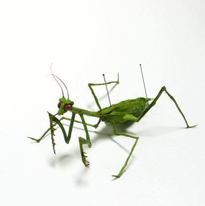 human-hair-insects10 human-hair-insects10
