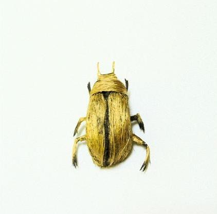 human-hair-insects14 human-hair-insects14