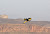 ‘Jetman’ Yves Rossy Flies Over The Grand Canyon