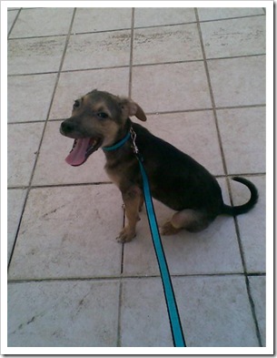dud_depois dud_depois