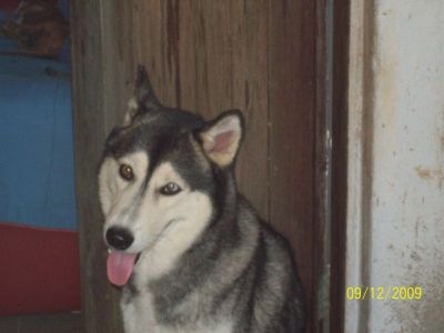 [lobo[3].jpg]