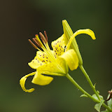 Having Fun with Depth of Field