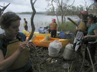 IMG_3288.JPG Photo