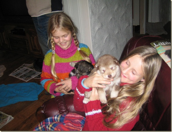 Bienna valp mm 048