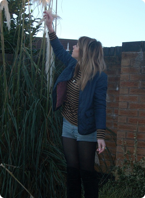 jack wills and stripes 1