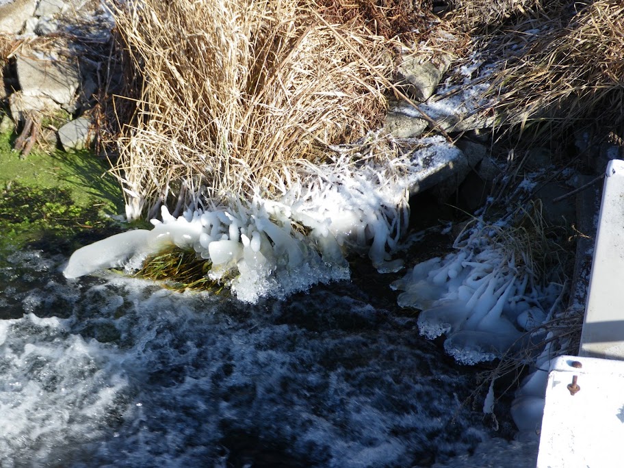 Ice at the Weir