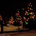 2009.12.22 | RÓŻNE | Boże Narodzenie