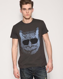 asos_owl asos_owl