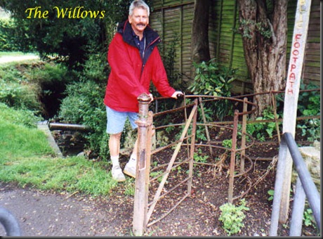 the willows